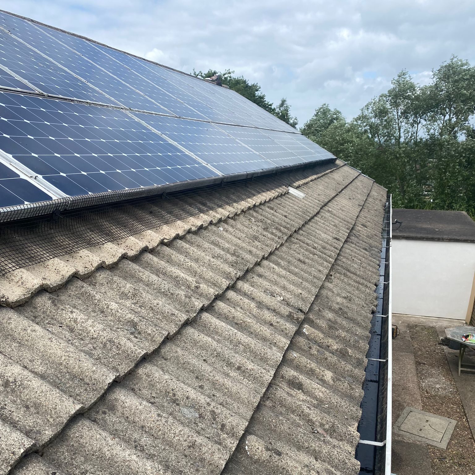 Solar Panel Pigeon Proofing: Protect Your Panels from Pigeon Damage